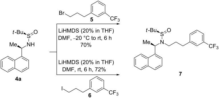 Scheme 7