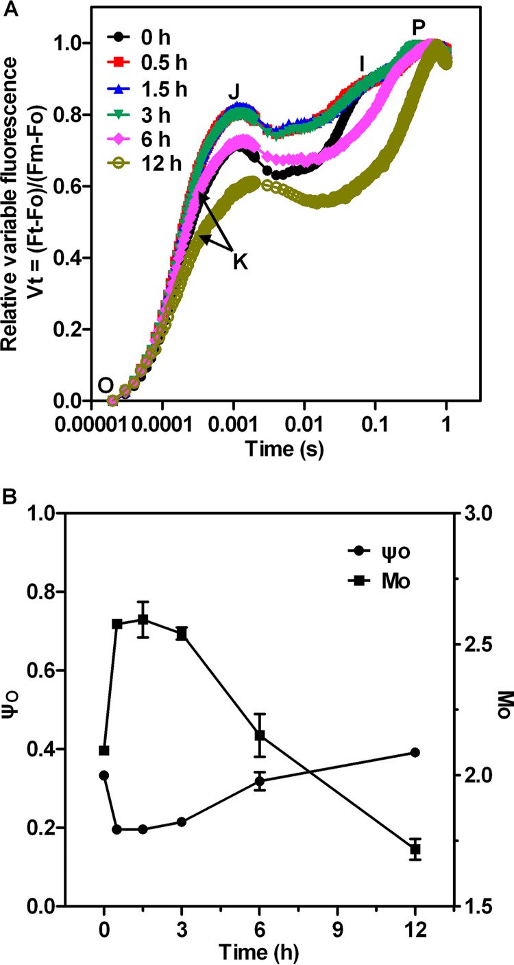 FIG 4