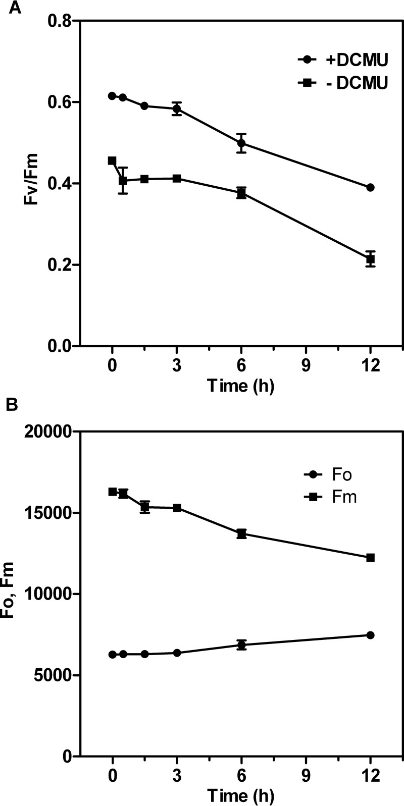 FIG 3