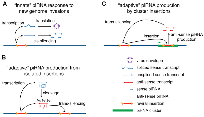 Figure 6.