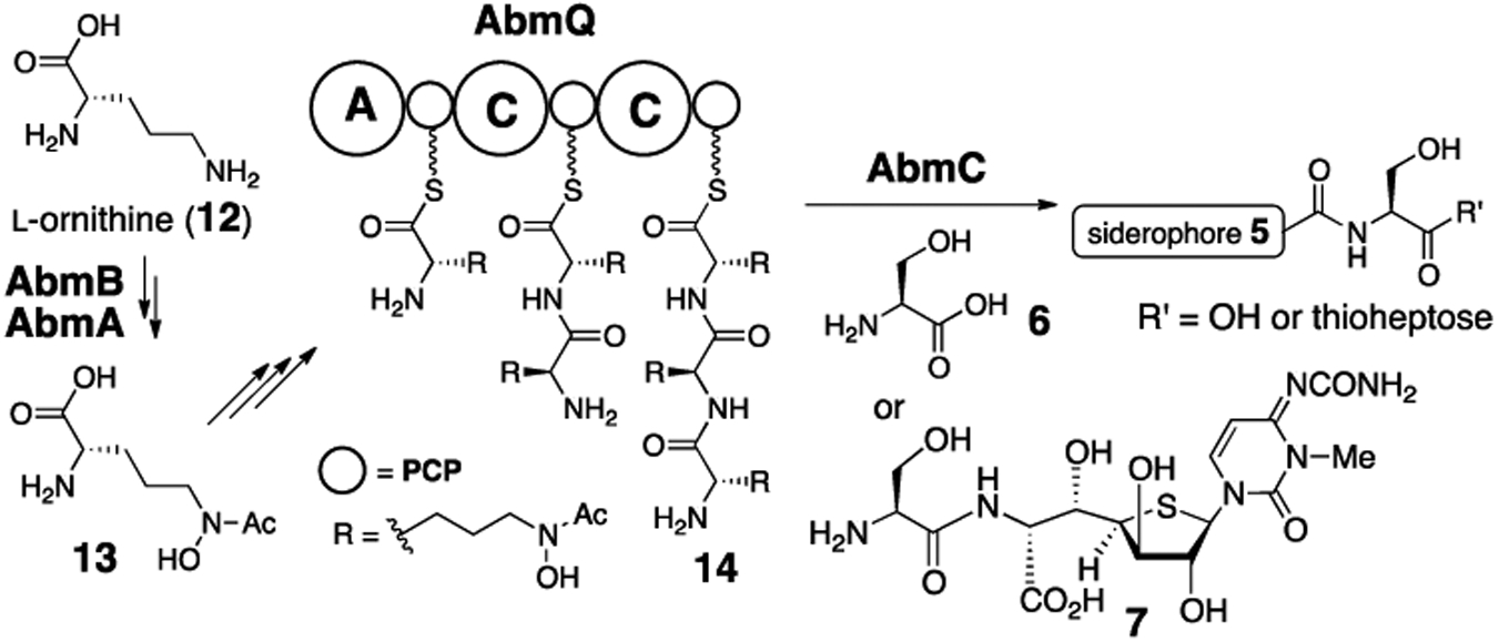 Scheme 2.