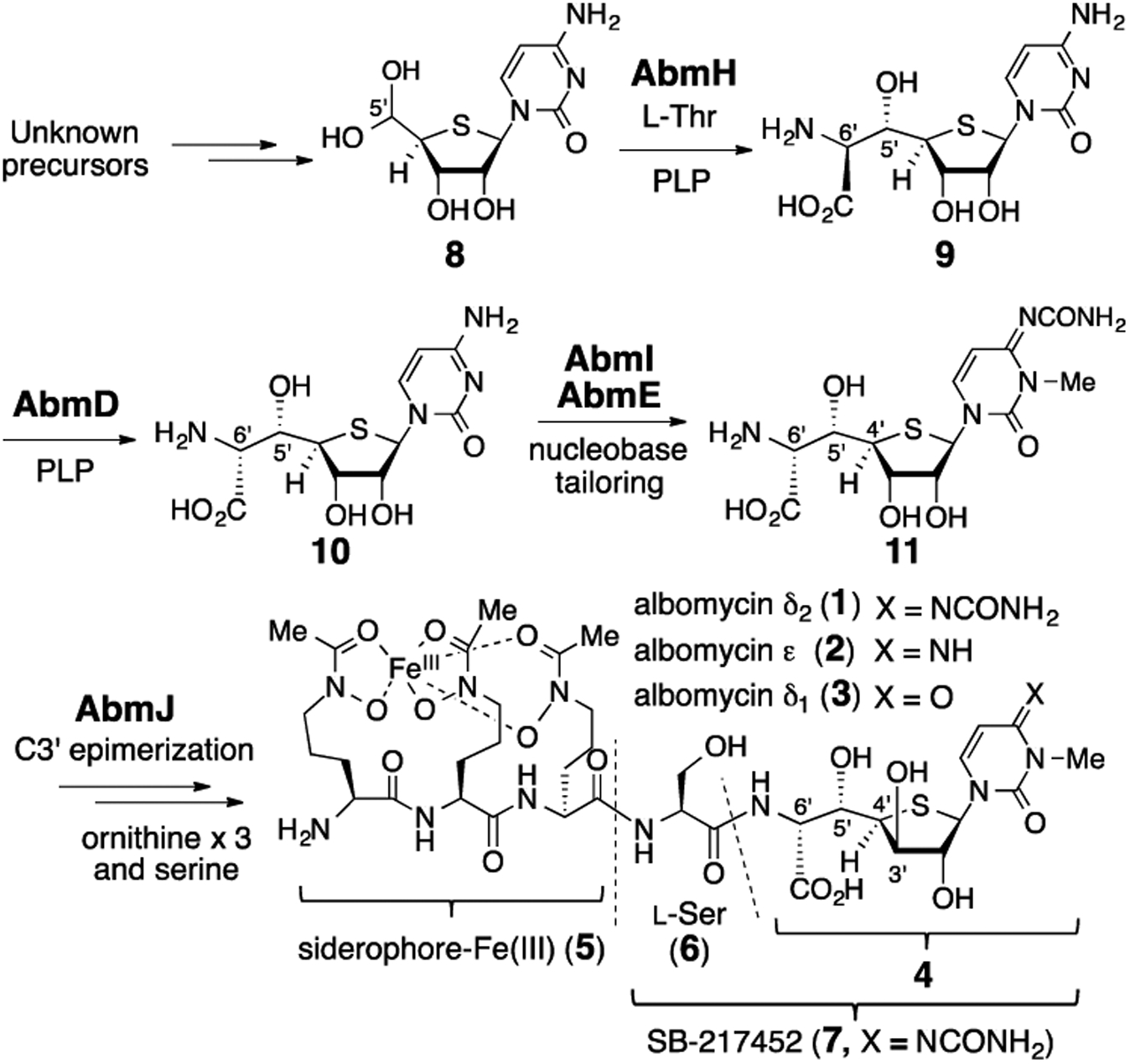 Scheme 1.