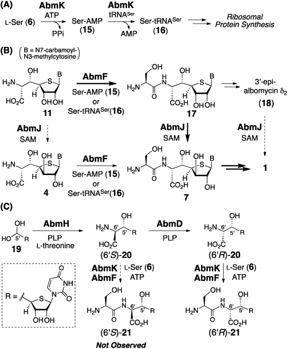 Scheme 3.