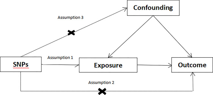 Figure 1