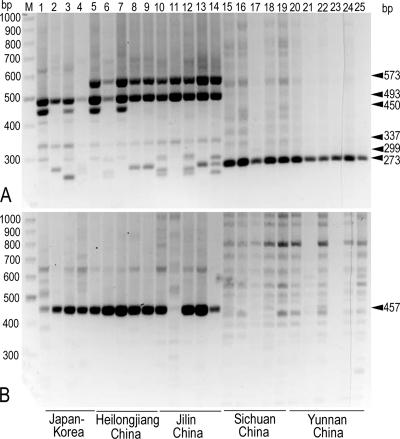 FIG. 5.