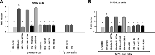 FIG. 8.