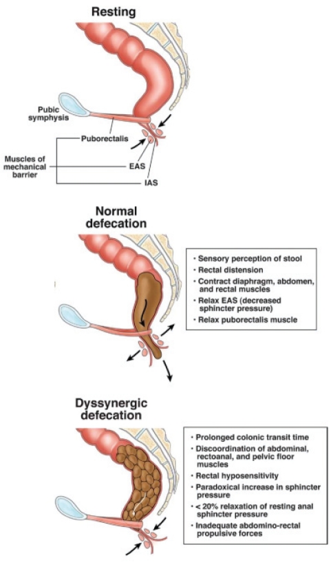 Figure 2)