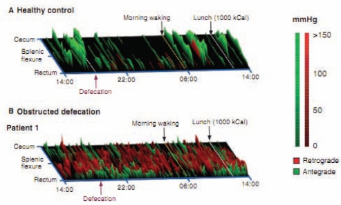 Figure 1)