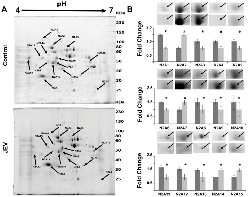 Figure 3.Differential