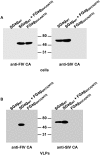 Fig 9