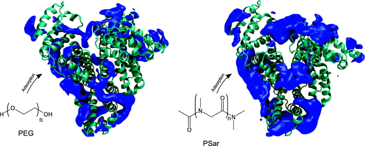 Unlabelled Image