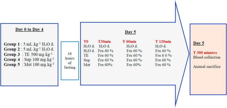 Figure 1