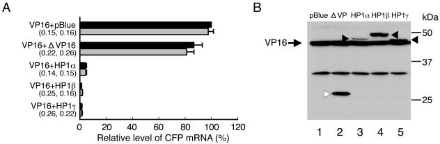 FIG. 10.