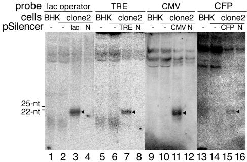 FIG. 5.