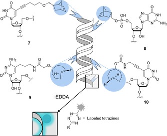 Scheme 4