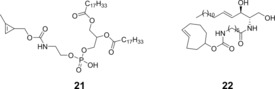 Scheme 9