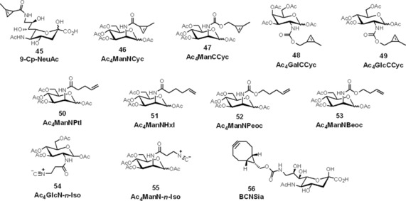 Scheme 11