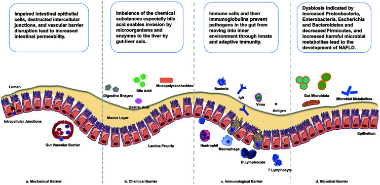 graphic file with name JCTH-11-452-ga.jpg