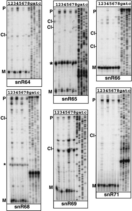 FIGURE 2.