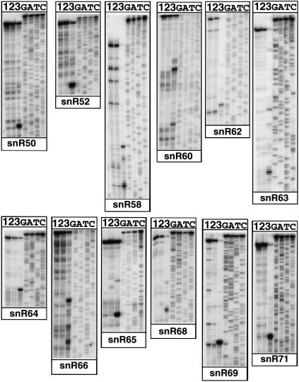 FIGURE 3.