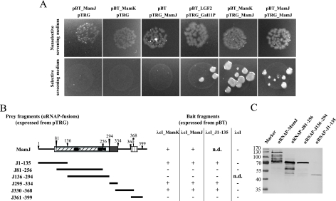 FIG. 6.