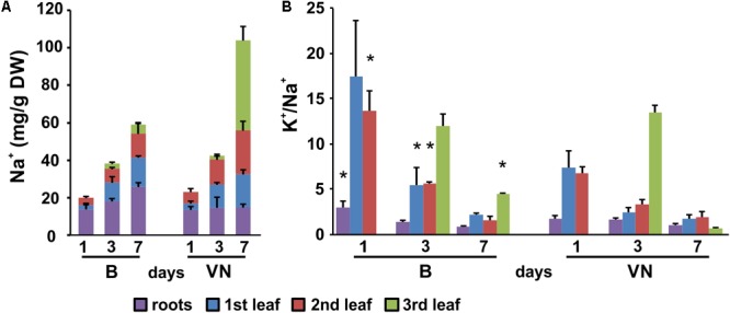 FIGURE 3