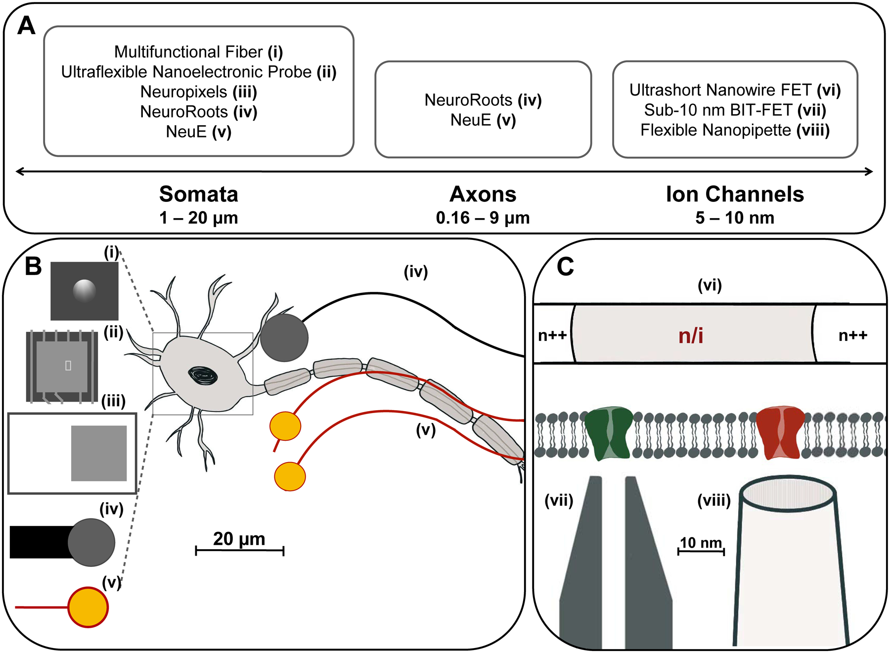 Figure 3.