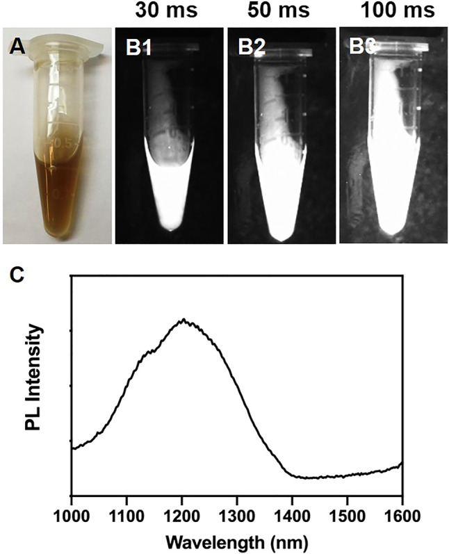 FIGURE 1