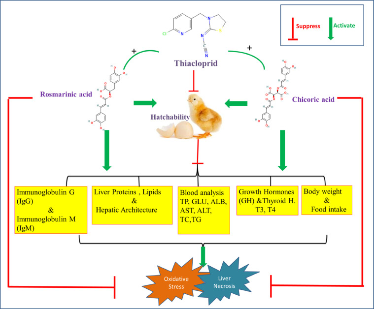 Figure 4: