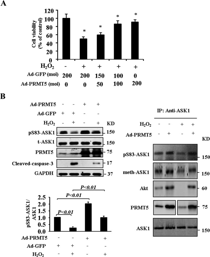 FIGURE 6: