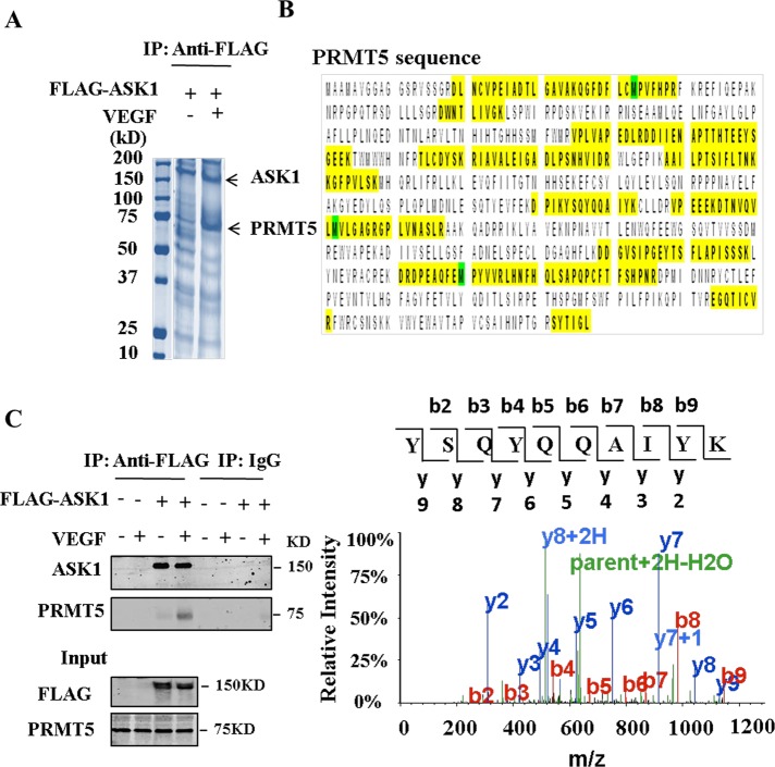 FIGURE 1: