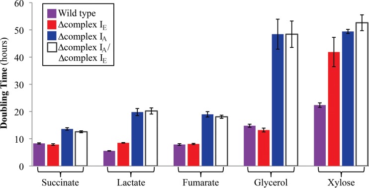 FIG 7