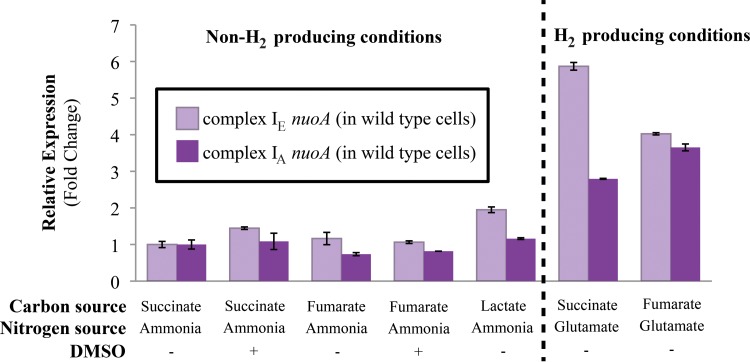 FIG 3