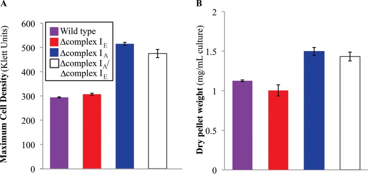 FIG 6