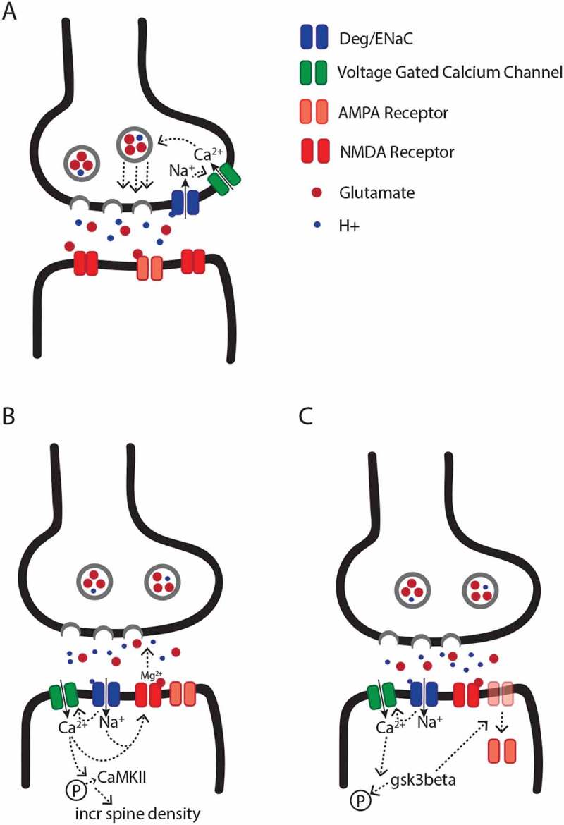 Figure 1.