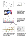 Image, graphical abstract