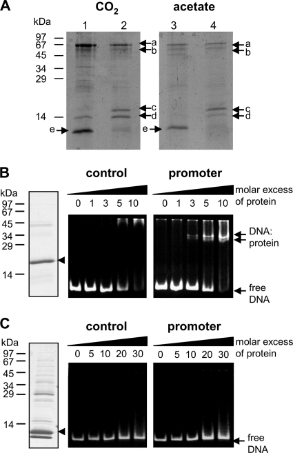 FIG. 5.