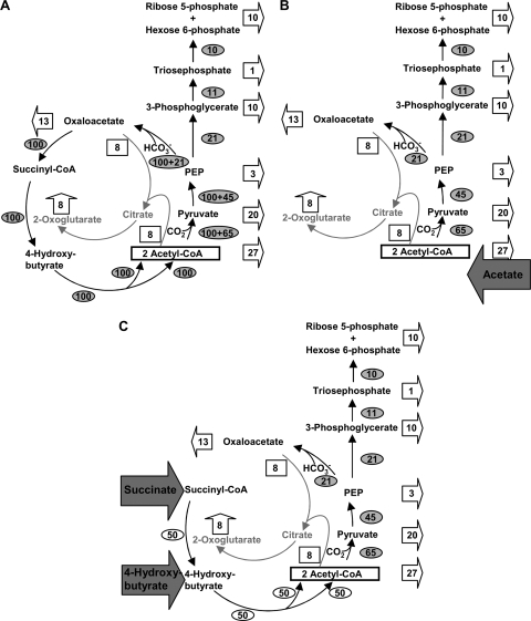 FIG. 6.