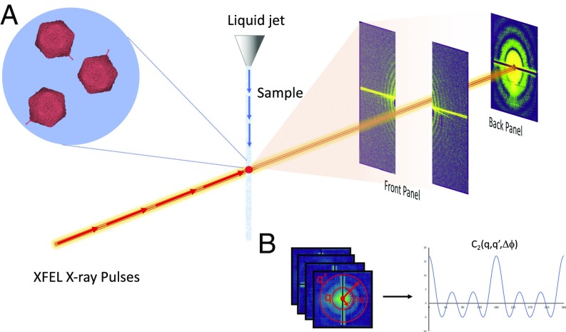 Fig. 1.