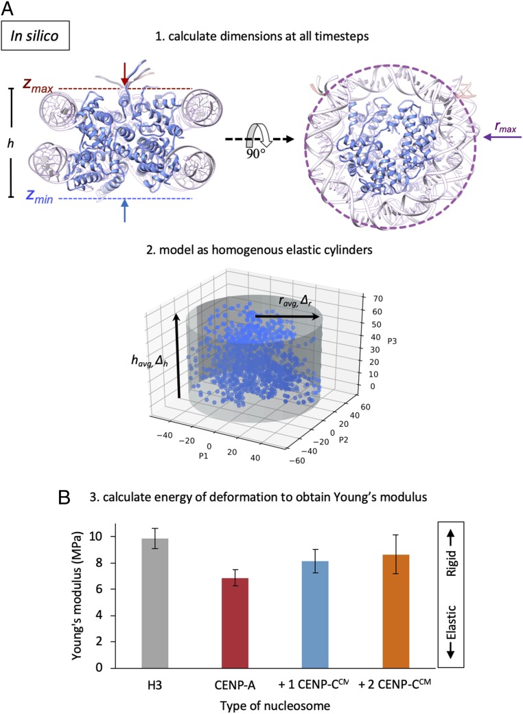 Fig. 1.