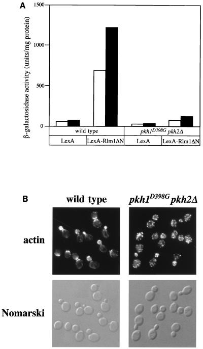 FIG. 5