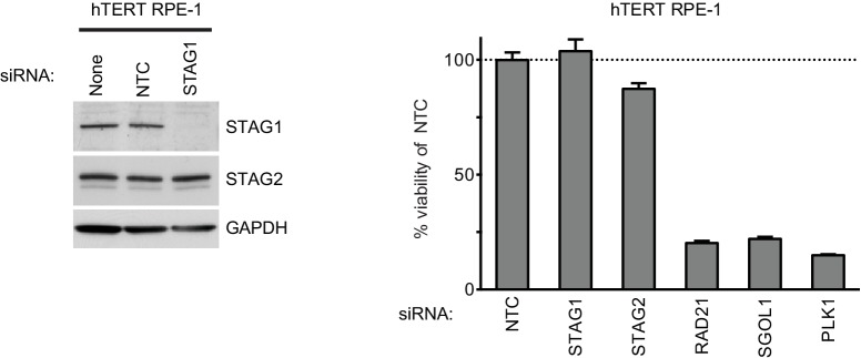 Figure 1—figure supplement 5.