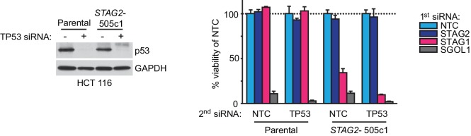 Figure 1—figure supplement 4.