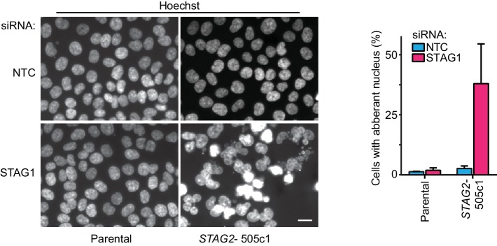 Figure 2—figure supplement 2.