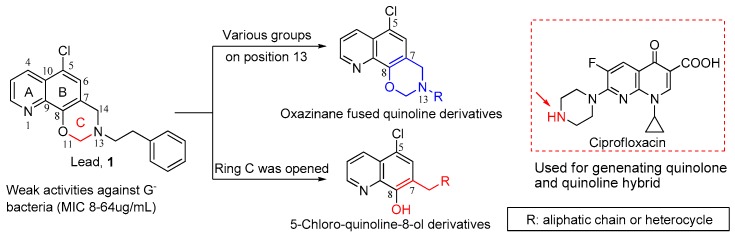 Figure 1