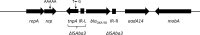 FIG 1