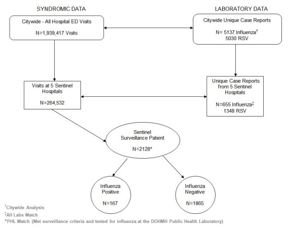 Flowchart of citywide and sentinel hospital data of both syndromic emergency department visits and laboratory testing results for influenza and RSV, New York City, October 1, 2009 - March 31, 2010