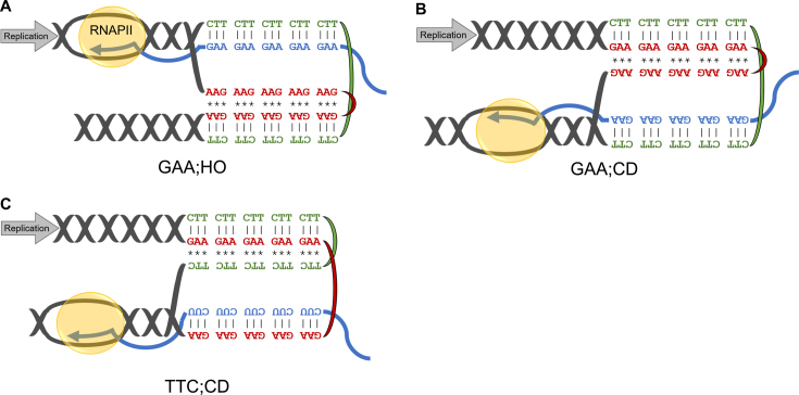 Figure 7.