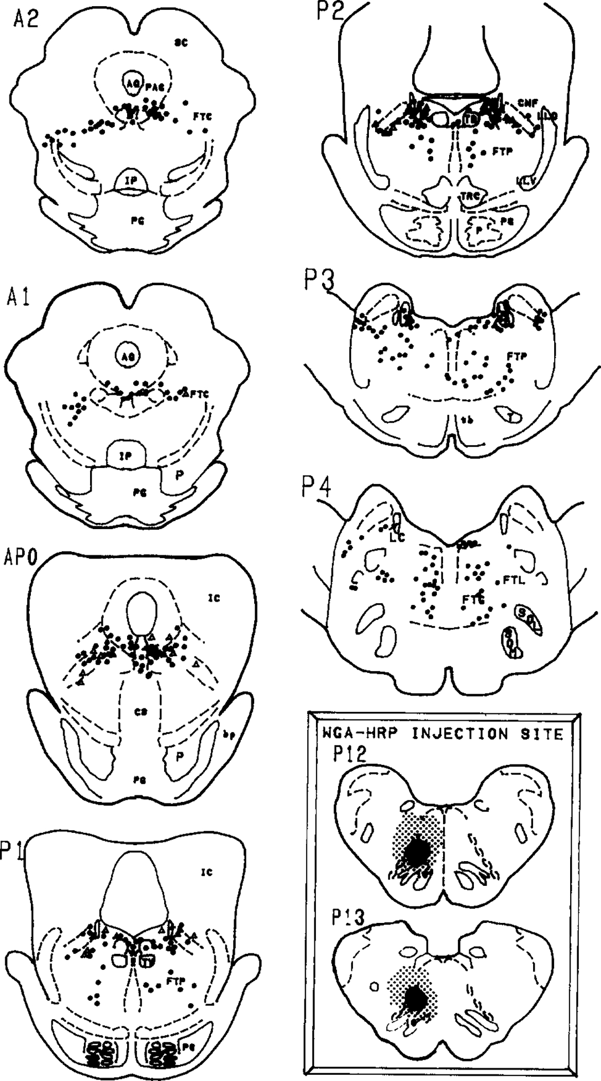 Fig. 3.