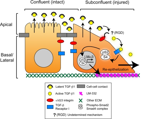 Figure 9.